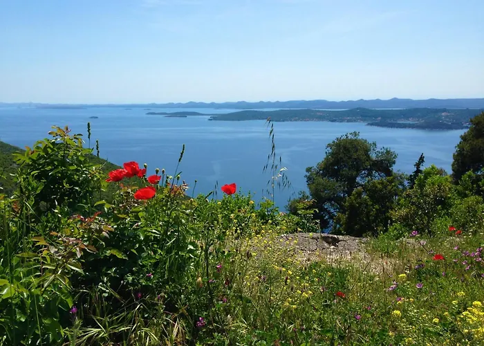 아파트 Sea Tonka 칼리